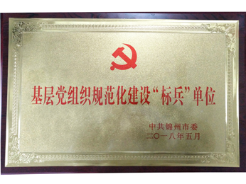 2018基層黨組織規(guī)范化建設(shè)“標兵”單位