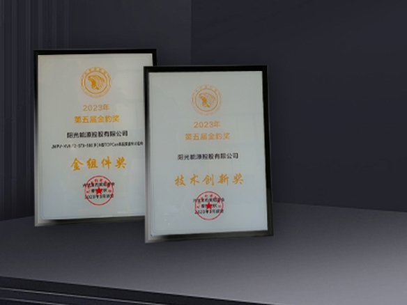 高光時刻 | 陽光能源獲N型TOPCon金組件獎及技術(shù)創(chuàng)新獎雙料獎項